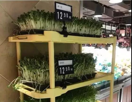 20181107634811.jpg 微信图片_20181107141441